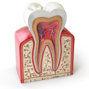 秋葉原の歯医者、スマイルデザインデンタルクリニック秋葉原で、痛みがなかった歯が治療後に痛くなったのはなぜ？原因や対処法を解説